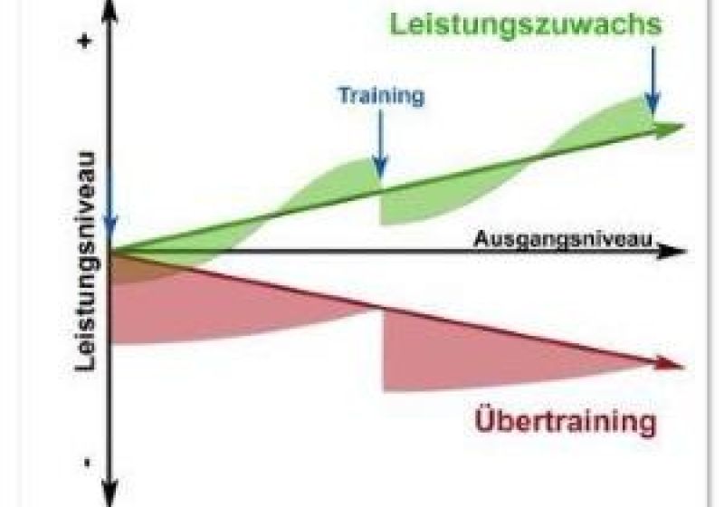 Leistungssteigerung durch Training